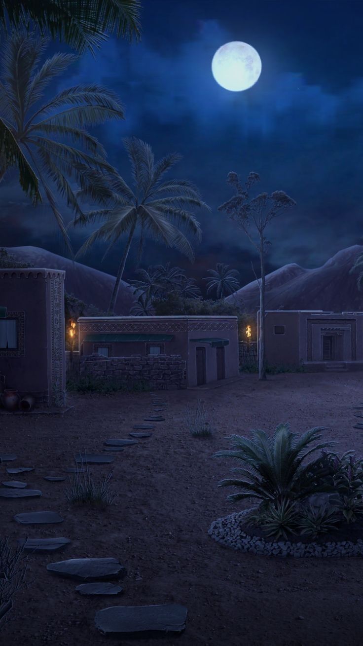 Paysage nocturne marocain